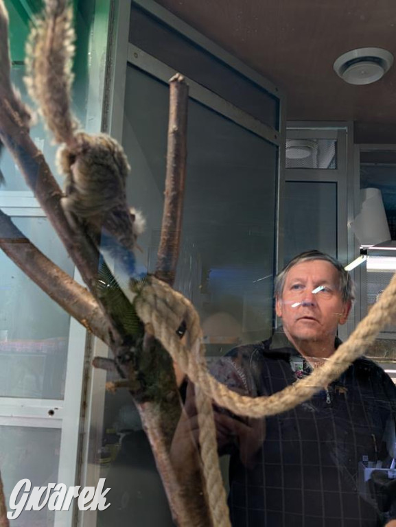 Kupione u Żurka. W Ogrodzie Śląskim w Świerklańcu