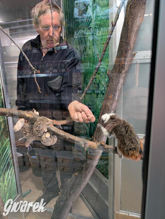 Kupione u Żurka. W Ogrodzie Śląskim w Świerklańcu