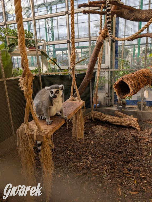 Kupione u Żurka. W Ogrodzie Śląskim w Świerklańcu