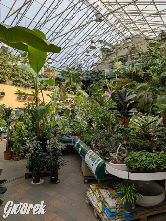 Kupione u Żurka. W Ogrodzie Śląskim w Świerklańcu