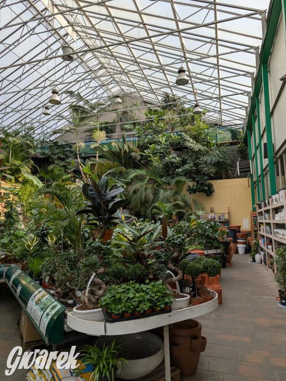 Kupione u Żurka. W Ogrodzie Śląskim w Świerklańcu