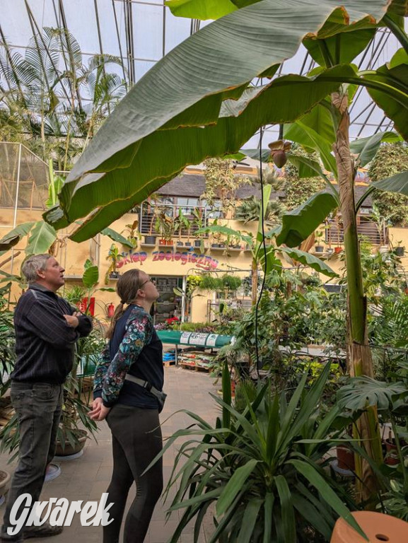 Kupione u Żurka. W Ogrodzie Śląskim w Świerklańcu