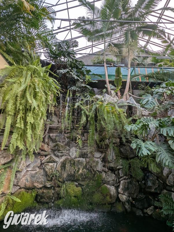 Kupione u Żurka. W Ogrodzie Śląskim w Świerklańcu