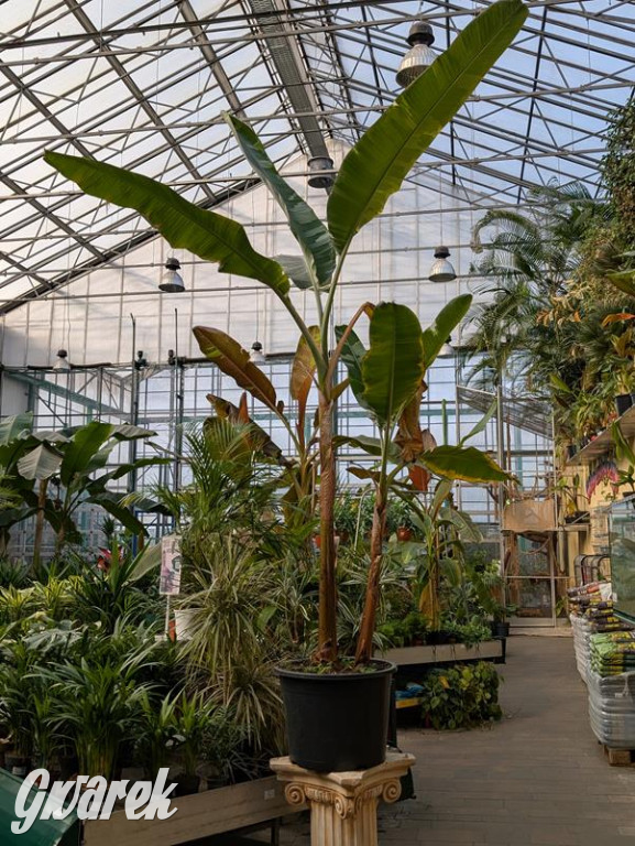 Kupione u Żurka. W Ogrodzie Śląskim w Świerklańcu