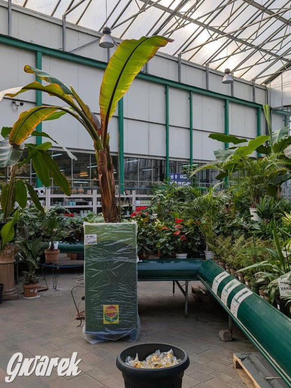 Kupione u Żurka. W Ogrodzie Śląskim w Świerklańcu