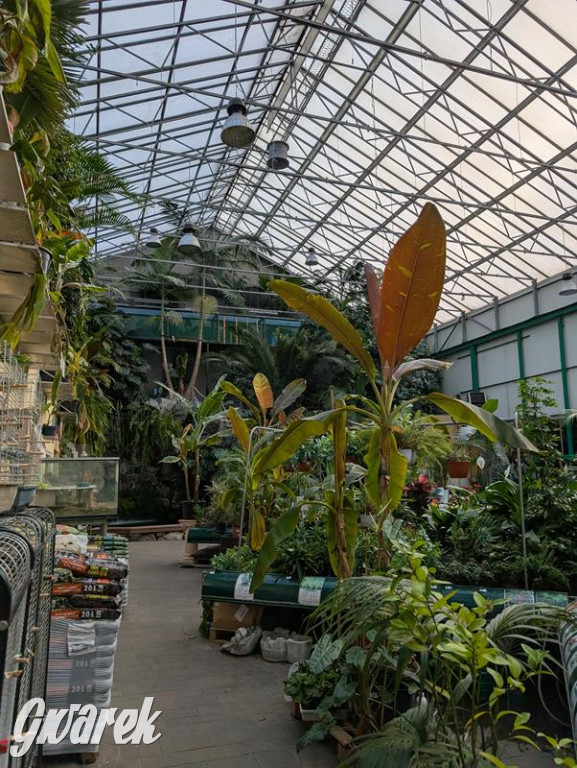 Kupione u Żurka. W Ogrodzie Śląskim w Świerklańcu