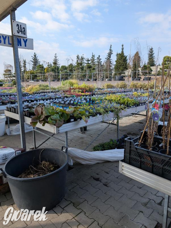 Kupione u Żurka. W Ogrodzie Śląskim w Świerklańcu