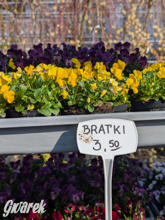 Kupione u Żurka. W Ogrodzie Śląskim w Świerklańcu