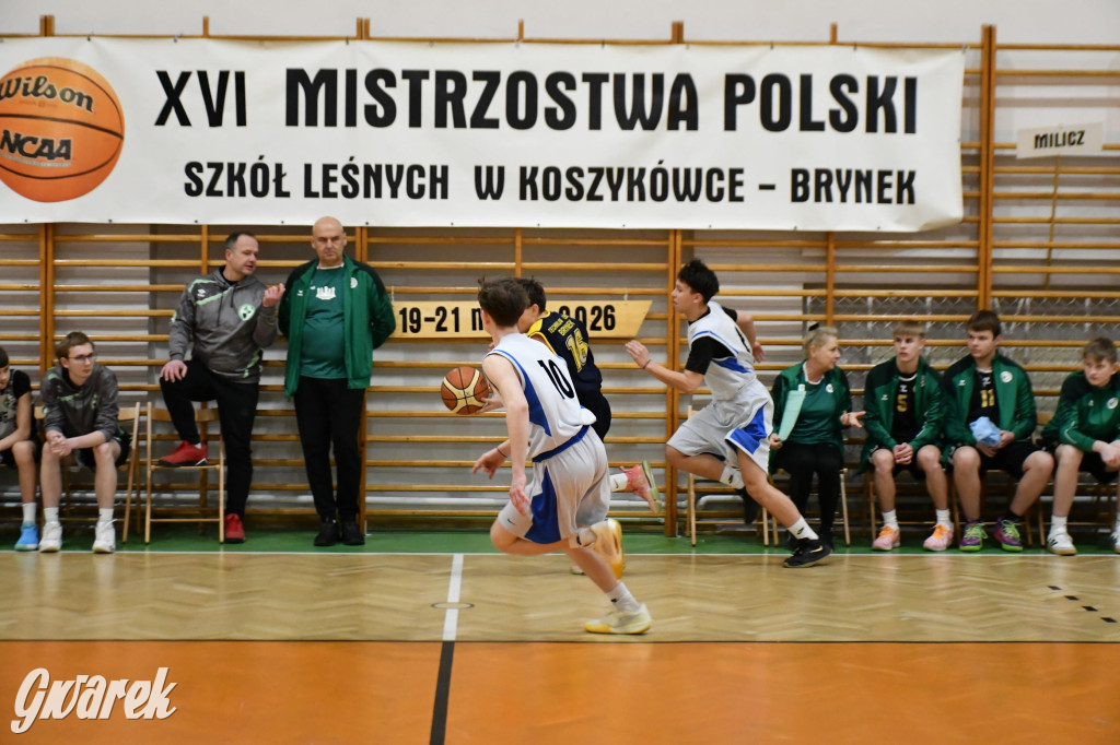Brynek. Mistrzostwa Polski Szkół Leśnych w Koszykówce