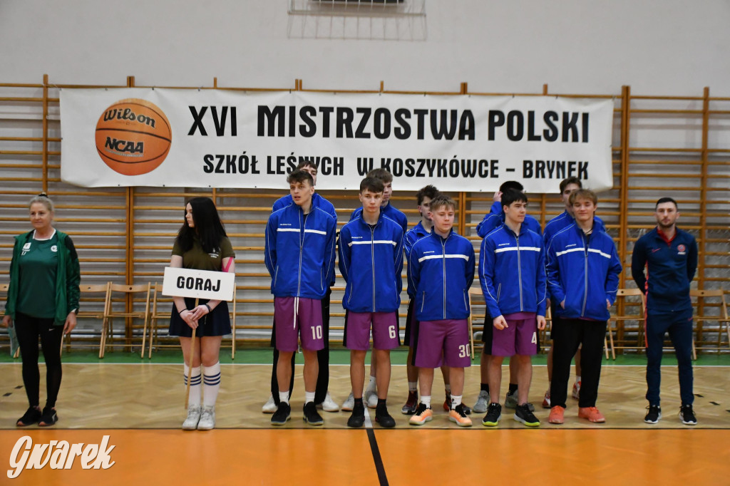 Brynek. Mistrzostwa Polski Szkół Leśnych w Koszykówce