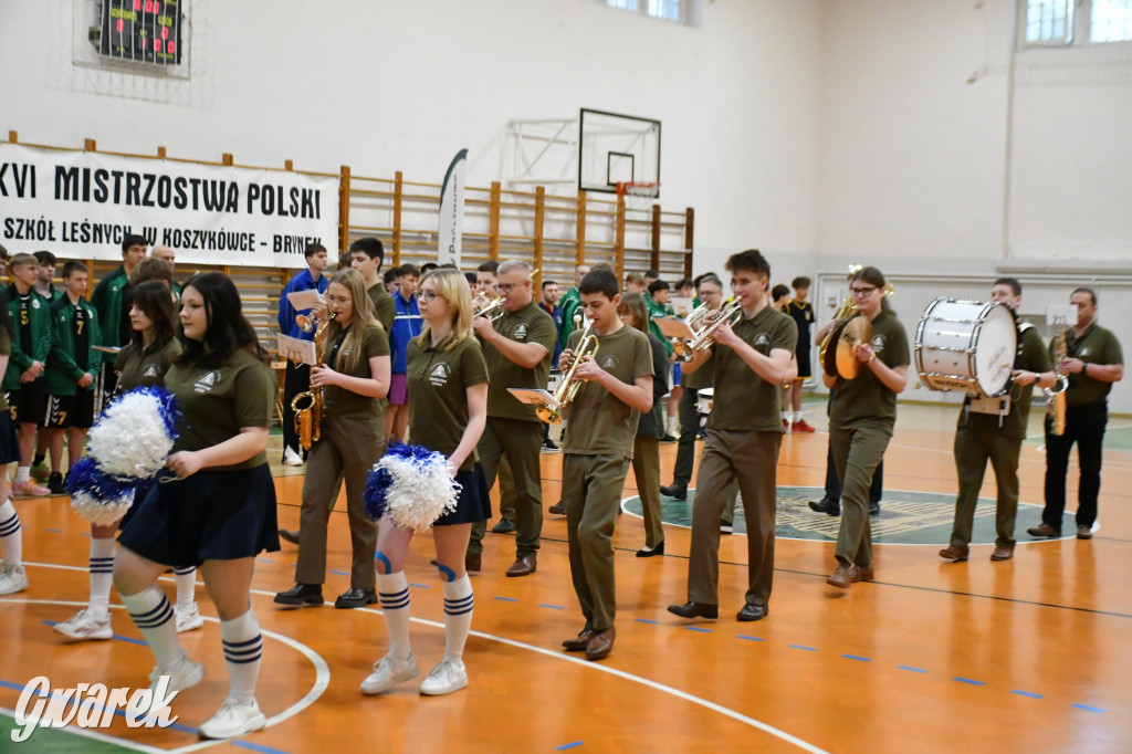 Brynek. Mistrzostwa Polski Szkół Leśnych w Koszykówce