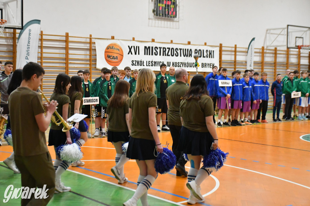 Brynek. Mistrzostwa Polski Szkół Leśnych w Koszykówce