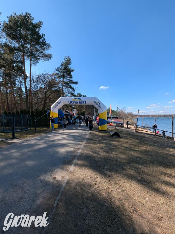 Nakło-Chechło. Pierwszy bieg dla Uli, 230 osób na starcie