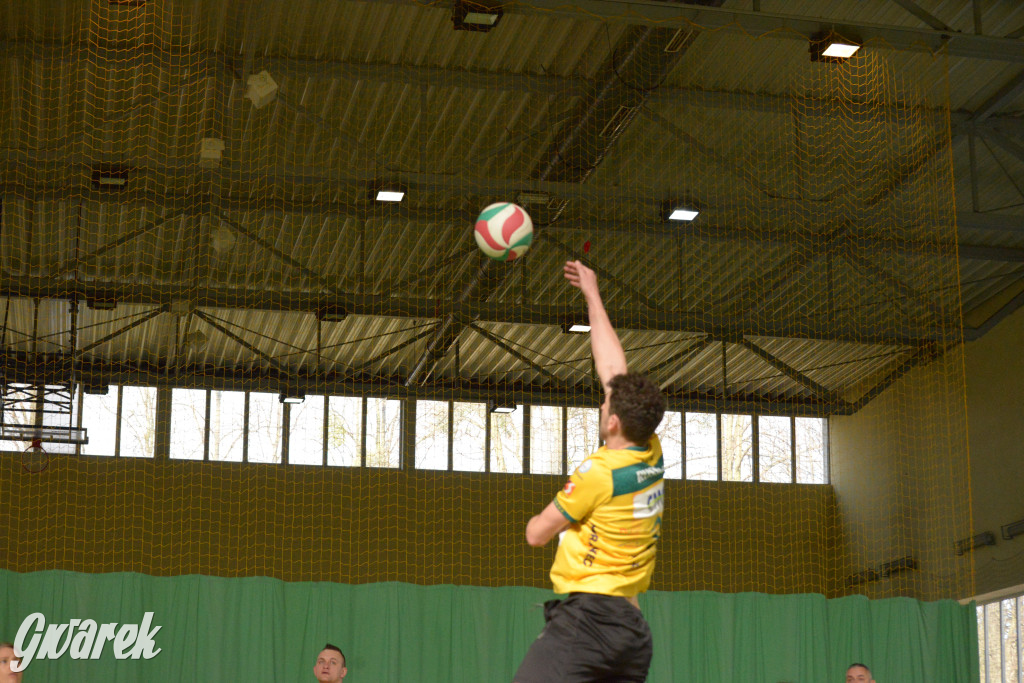 Wiosenny Turniej Siatkówki w Nakle Śląskim