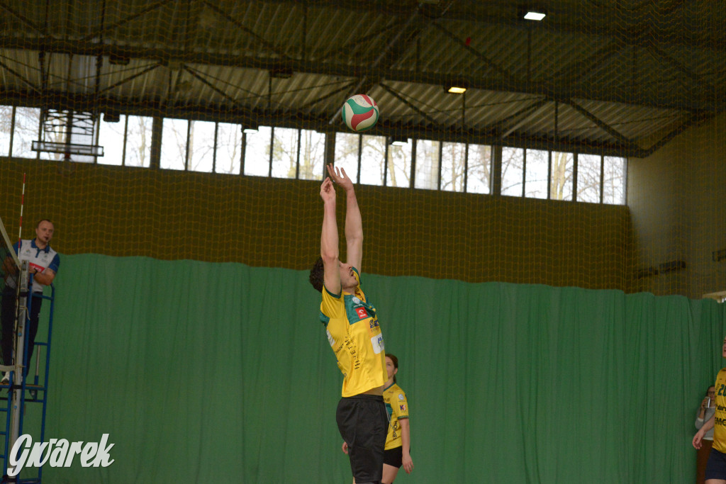 Wiosenny Turniej Siatkówki w Nakle Śląskim