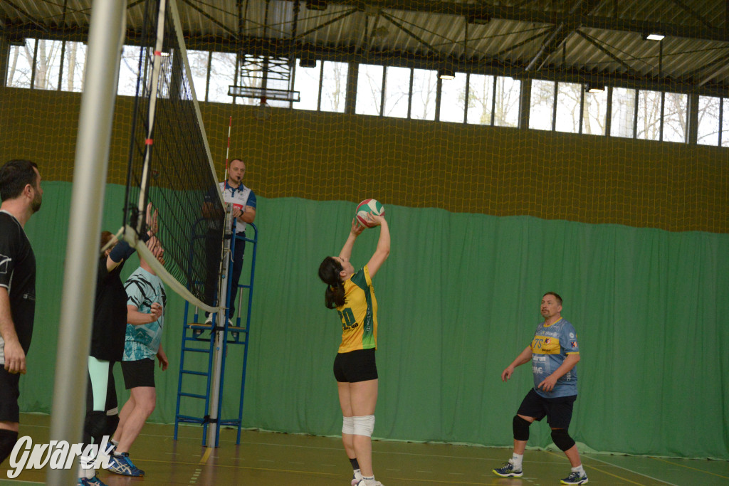 Wiosenny Turniej Siatkówki w Nakle Śląskim