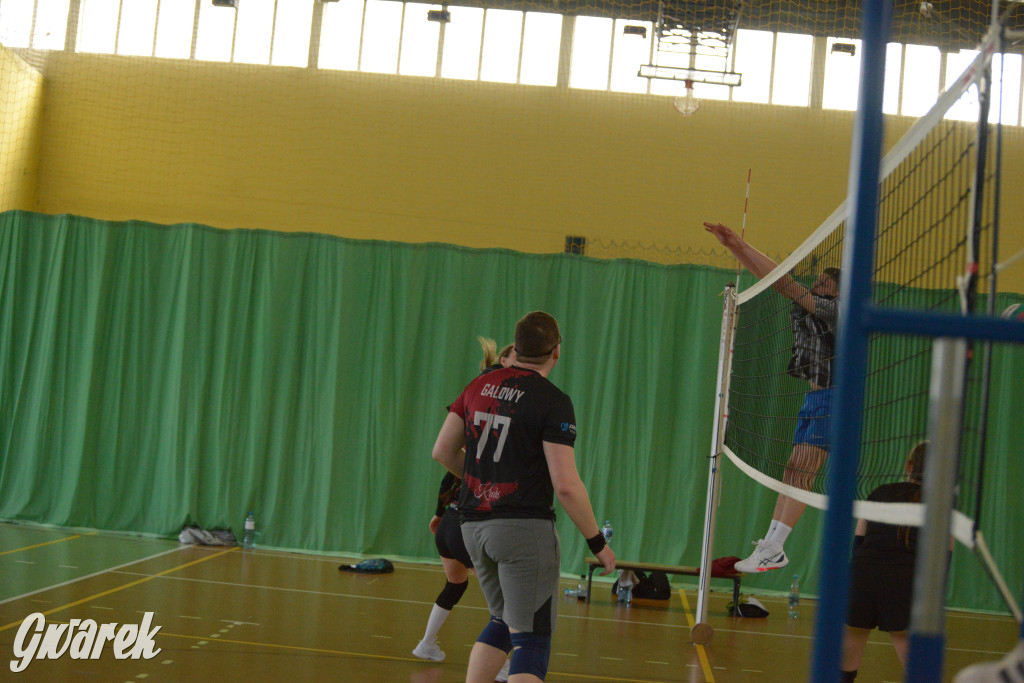 Wiosenny Turniej Siatkówki w Nakle Śląskim