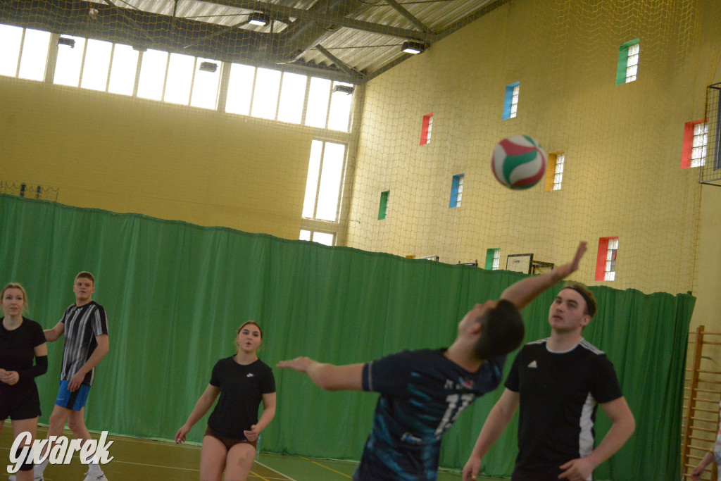 Wiosenny Turniej Siatkówki w Nakle Śląskim