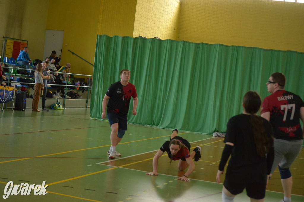 Wiosenny Turniej Siatkówki w Nakle Śląskim