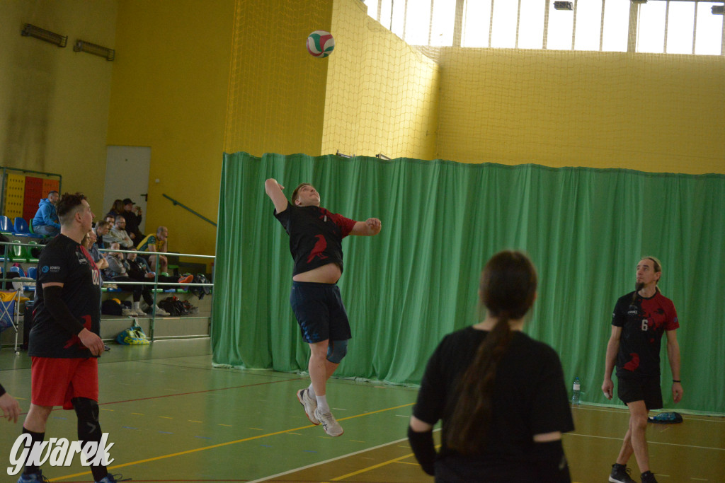 Wiosenny Turniej Siatkówki w Nakle Śląskim