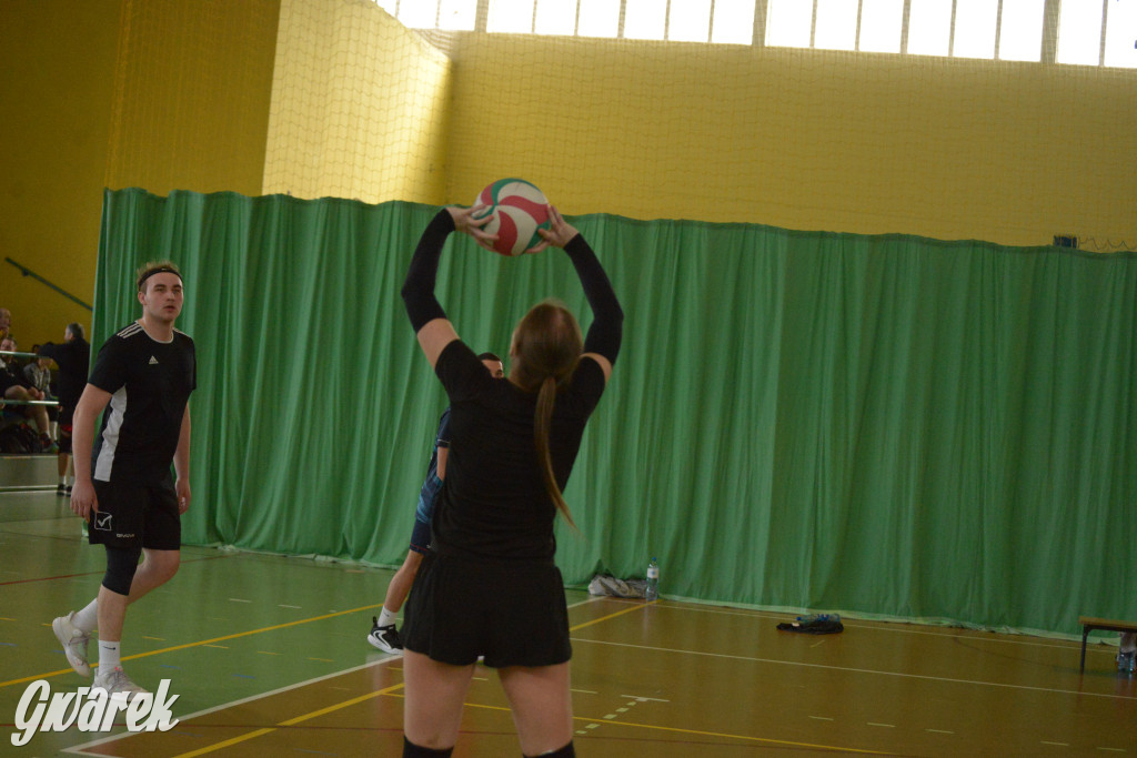 Wiosenny Turniej Siatkówki w Nakle Śląskim