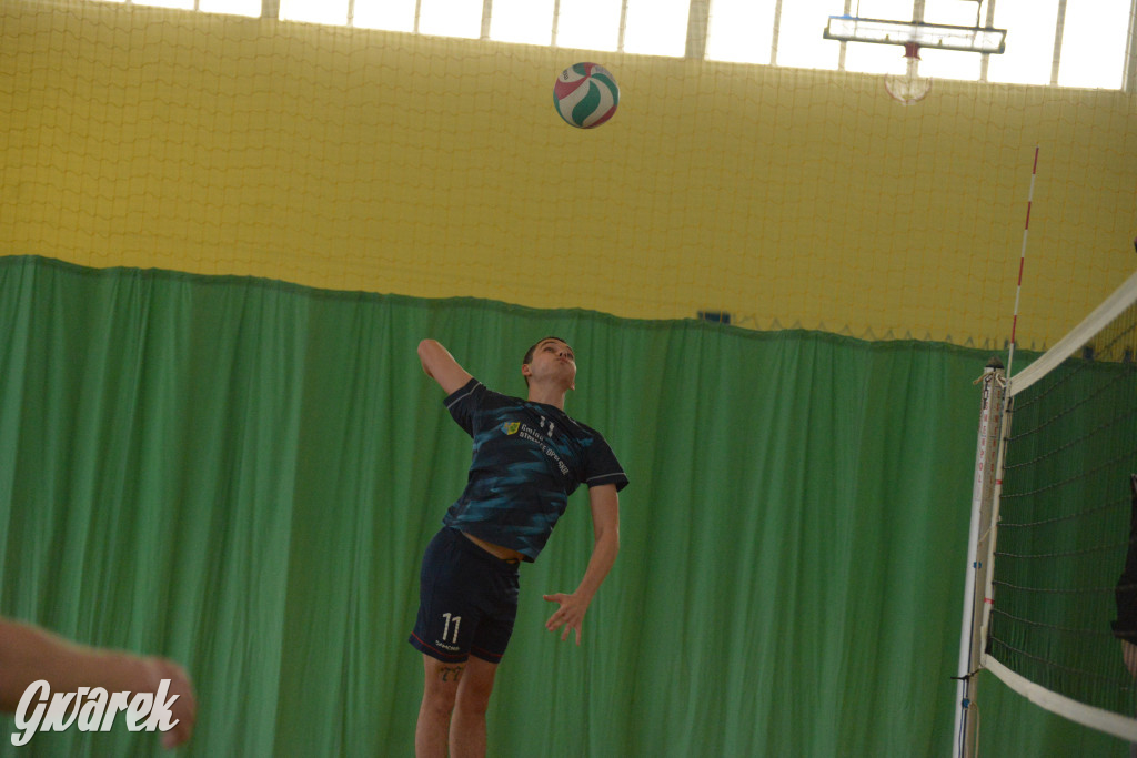 Wiosenny Turniej Siatkówki w Nakle Śląskim