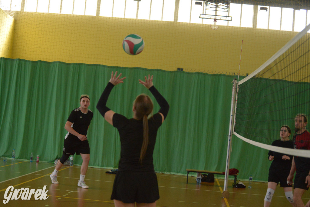 Wiosenny Turniej Siatkówki w Nakle Śląskim
