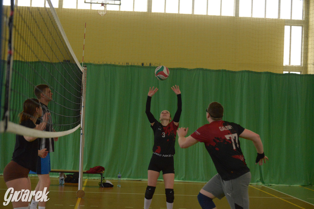 Wiosenny Turniej Siatkówki w Nakle Śląskim