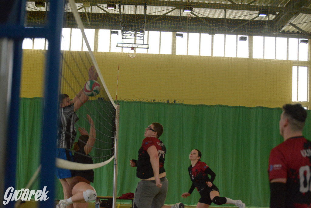 Wiosenny Turniej Siatkówki w Nakle Śląskim