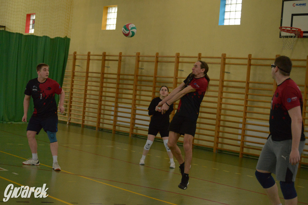 Wiosenny Turniej Siatkówki w Nakle Śląskim