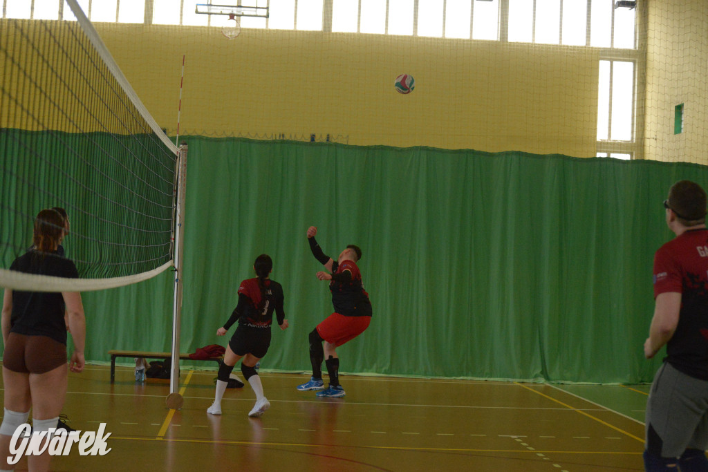 Wiosenny Turniej Siatkówki w Nakle Śląskim