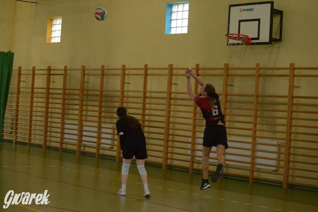 Wiosenny Turniej Siatkówki w Nakle Śląskim