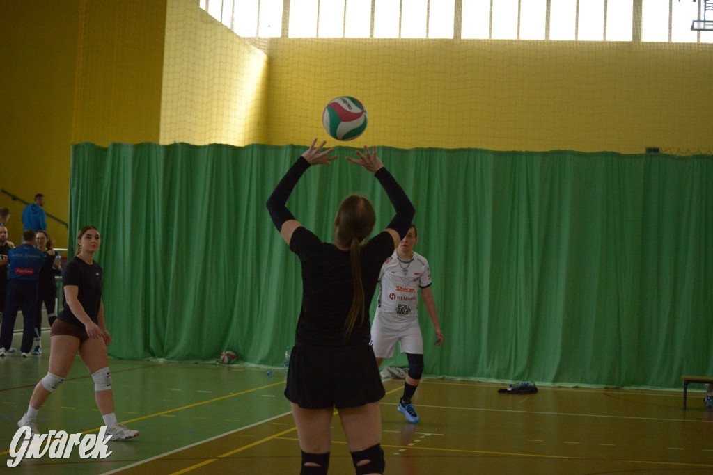 Wiosenny Turniej Siatkówki w Nakle Śląskim