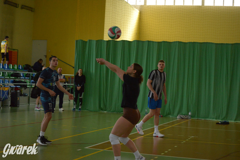 Wiosenny Turniej Siatkówki w Nakle Śląskim