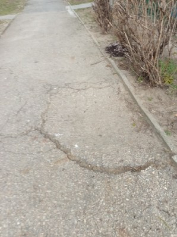 Tarnowskie Góry. Czy ktoś wyremontuje ten chodnik?