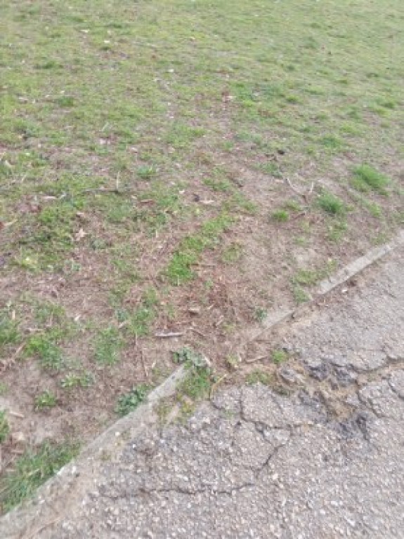 Tarnowskie Góry. Czy ktoś wyremontuje ten chodnik?