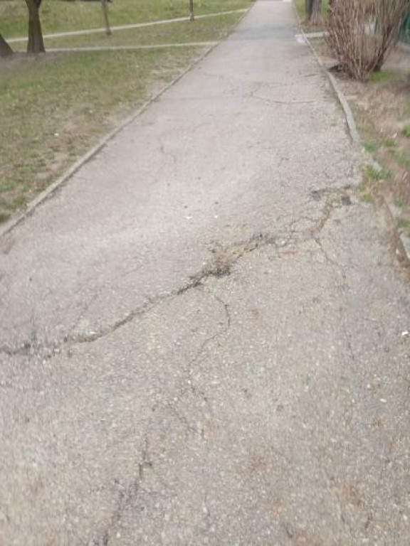 Tarnowskie Góry. Czy ktoś wyremontuje ten chodnik?