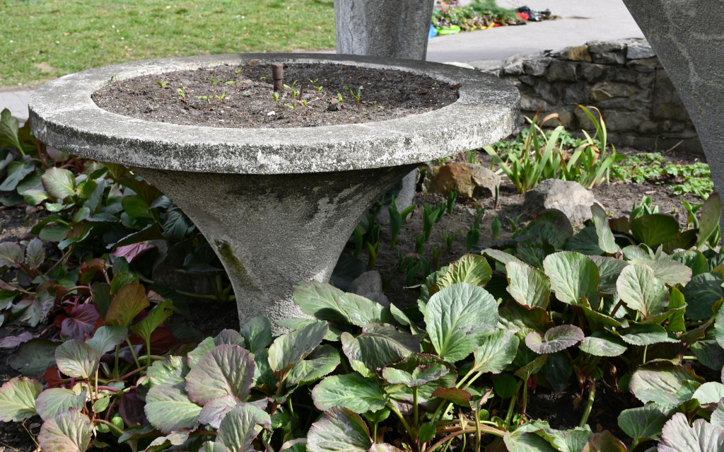 Tarnowskie Góry. Co ze skwerem przed halą targową?