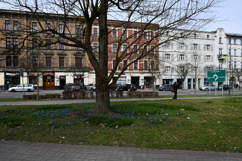 Tarnowskie Góry. Co ze skwerem przed halą targową?