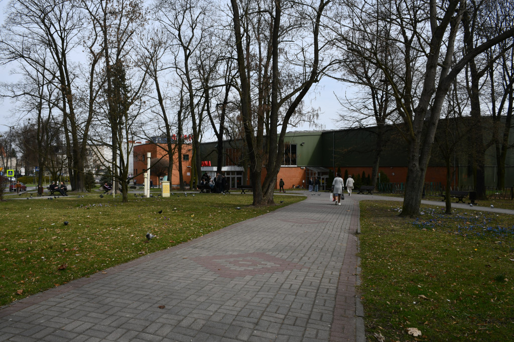 Tarnowskie Góry. Co ze skwerem przed halą targową?