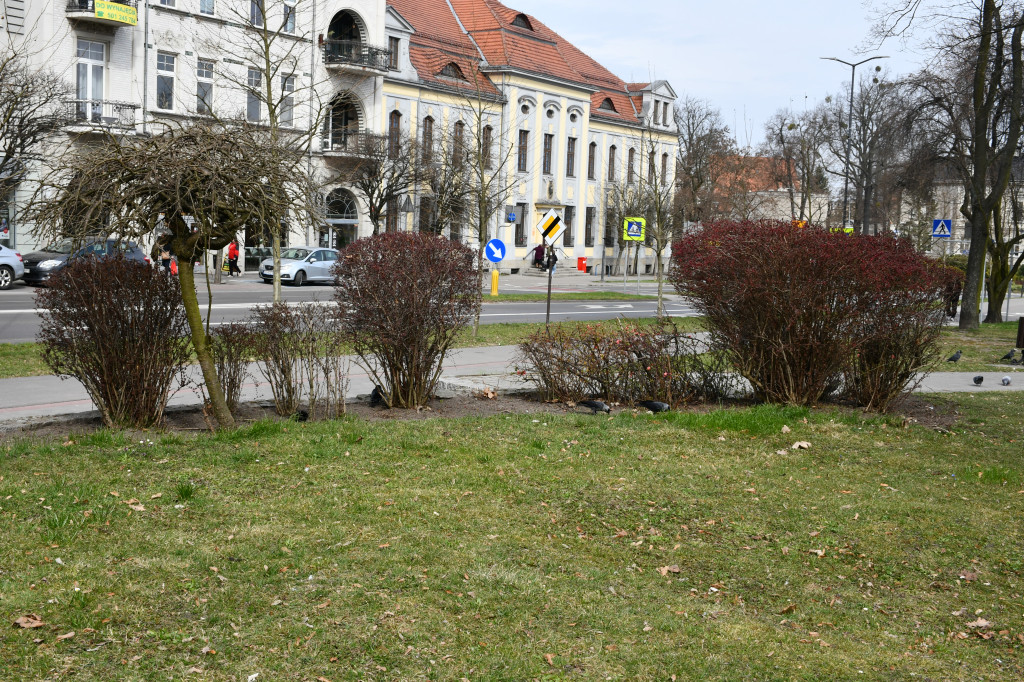 Tarnowskie Góry. Co ze skwerem przed halą targową?