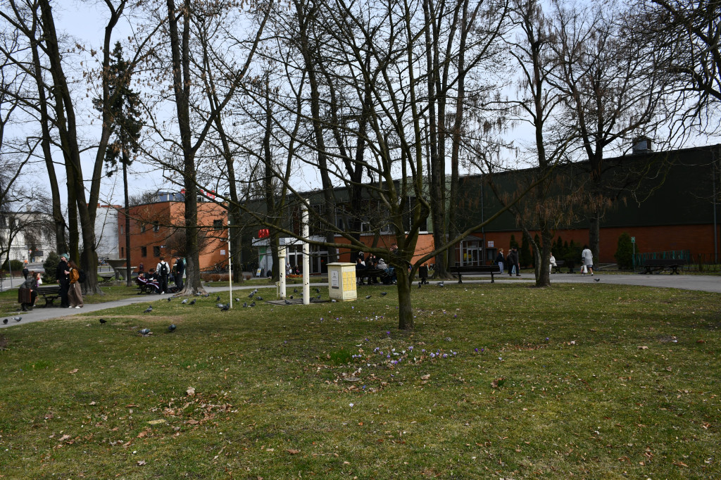 Tarnowskie Góry. Co ze skwerem przed halą targową?