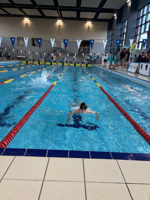 MKS Park Wodny Tarnowskie Góry z sukcesami