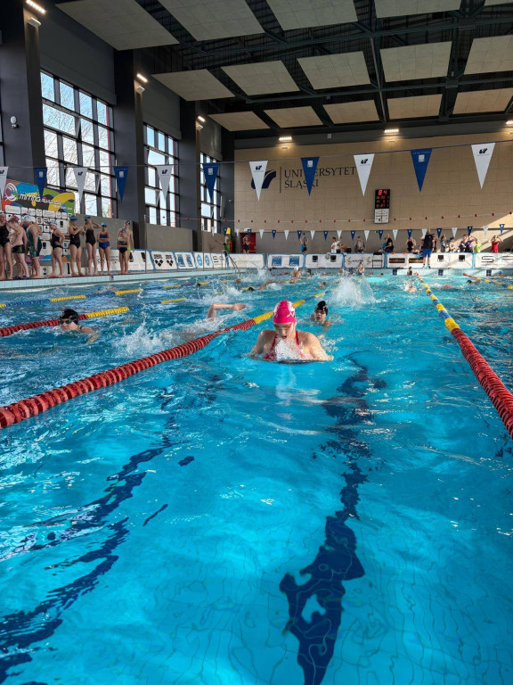 MKS Park Wodny Tarnowskie Góry z sukcesami