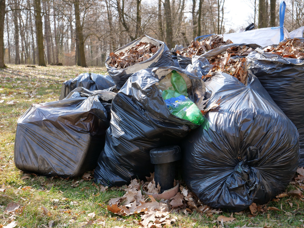 Wiosenne porządki w Centrum Kultury Śląskiej z #uczęsięwtg