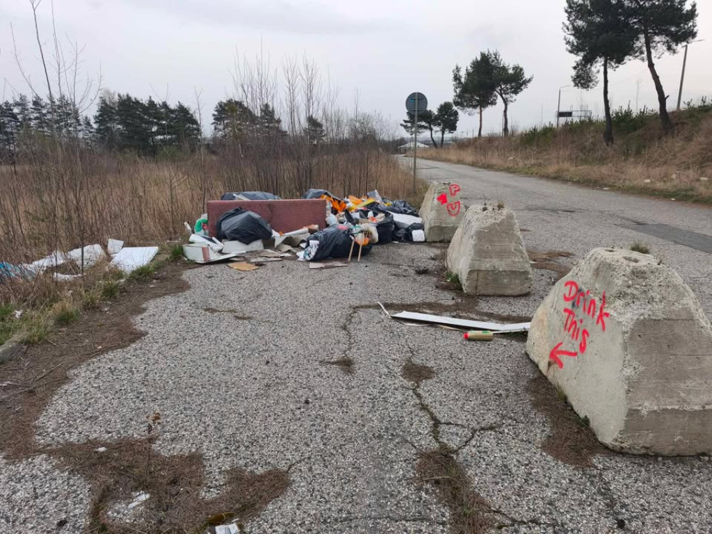 Tarnowskie Gór. Kto wyrzucił śmieci przy Zagórskiej?