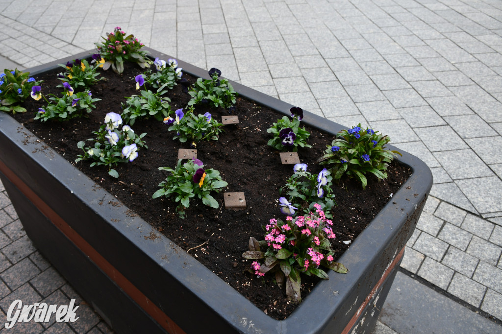 Tarnowskie Góry. Czujecie już święta?