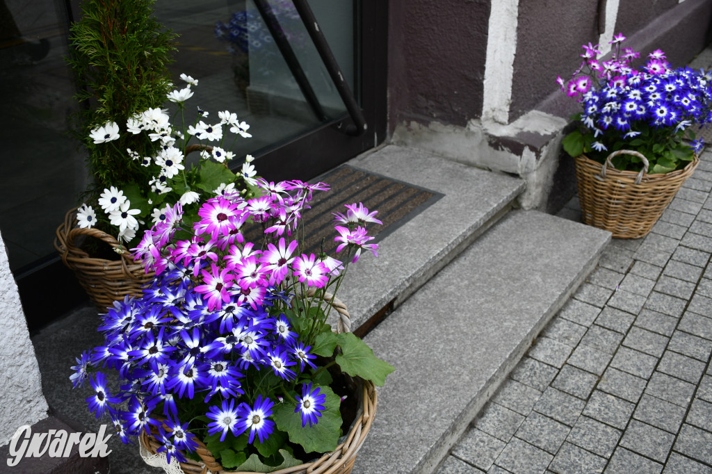 Tarnowskie Góry. Czujecie już święta?