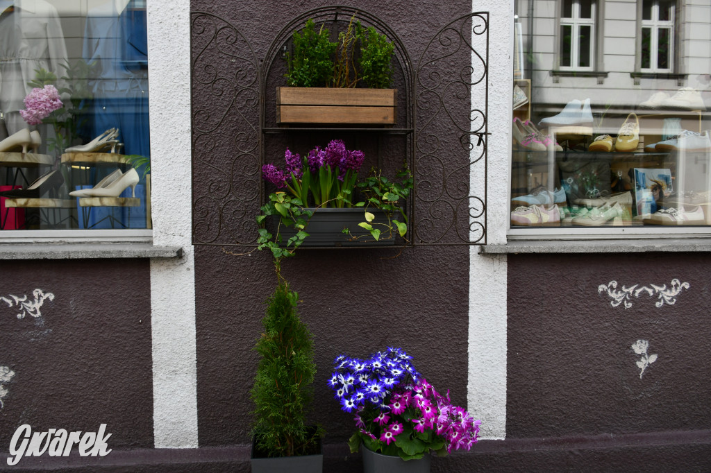 Tarnowskie Góry. Czujecie już święta?