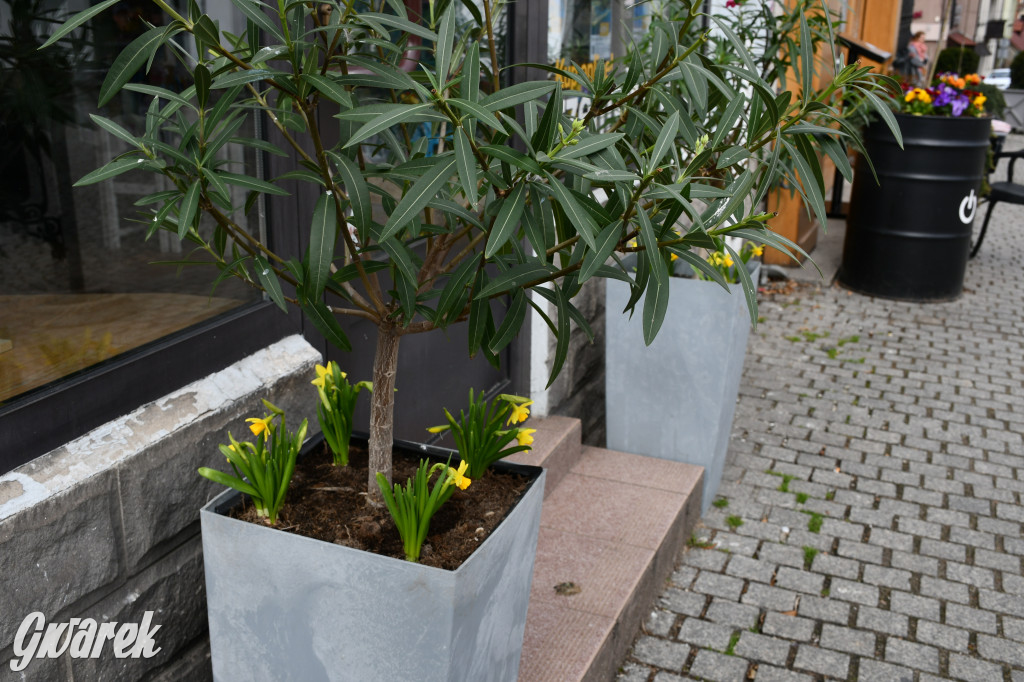 Tarnowskie Góry. Czujecie już święta?